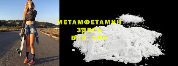 прущие грибы Нефтекумск