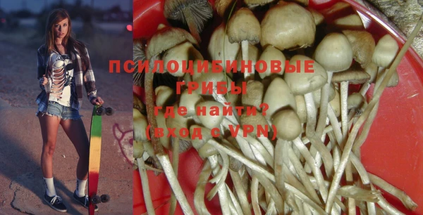 прущие грибы Нефтекумск
