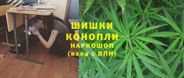 крисы Нефтегорск