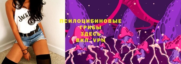 крисы Нефтегорск