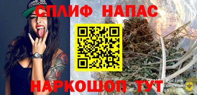 сатива Бузулук