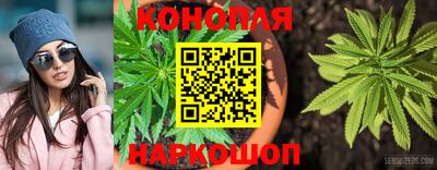 гидропоника Балаково