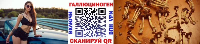Псилоцибиновые грибы мухоморы  Советский 