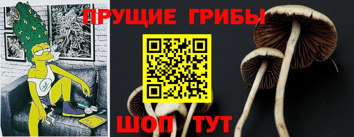 Галлюциногенные грибы прущие грибы  Советский  Псилоцибиновые грибы Magic Shrooms 