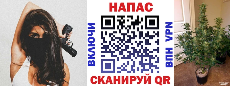 Марихуана MAZAR ОМГ ОМГ ССЫЛКА нарко площадка формула Советский